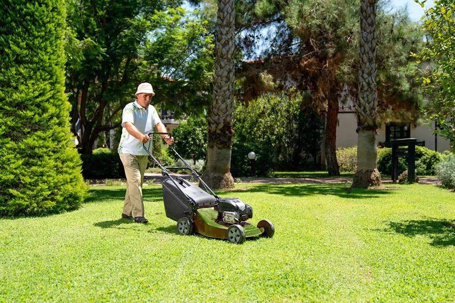 small electric grass mower